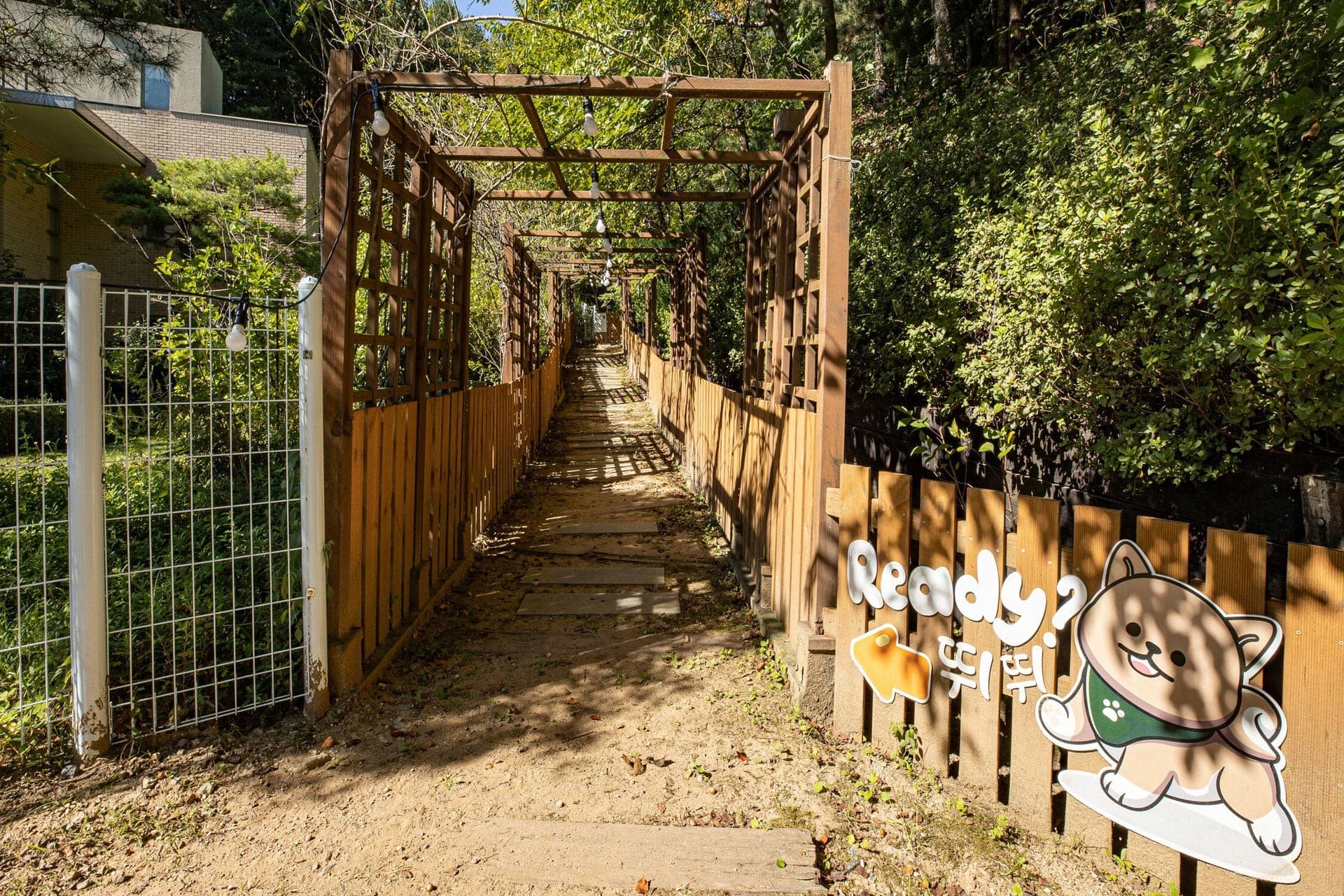 GLAMDOG Cheongpyeong gallery 5