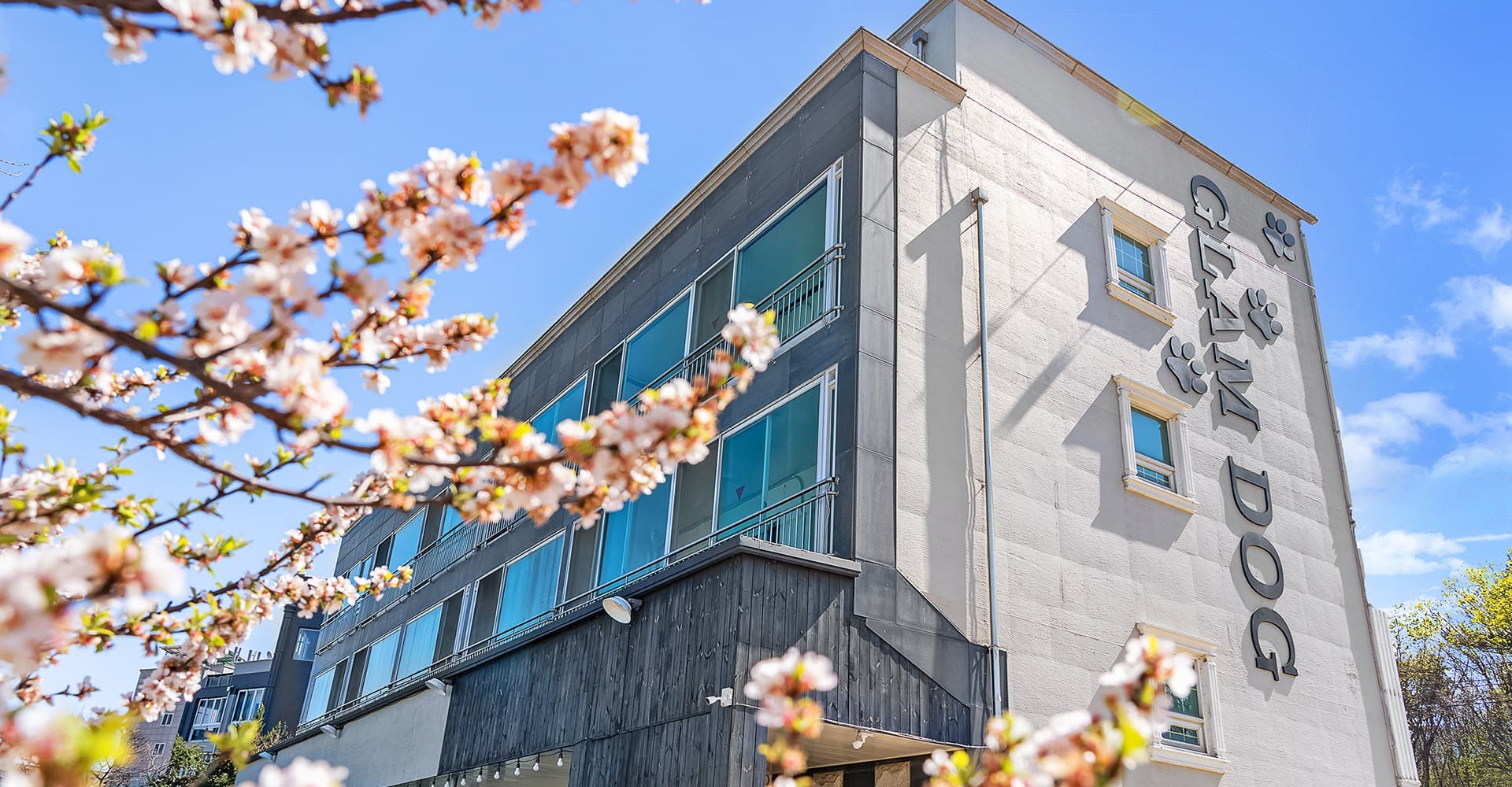 GLAMDOG 영흥도점 gallery 2